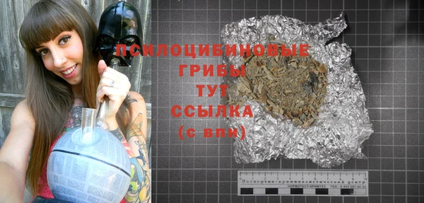 ПСИЛОЦИБИНОВЫЕ ГРИБЫ Абаза