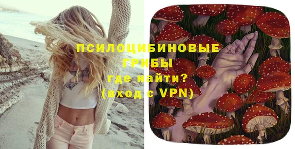 ПСИЛОЦИБИНОВЫЕ ГРИБЫ Абаза