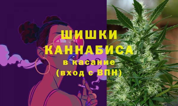 ПСИЛОЦИБИНОВЫЕ ГРИБЫ Абаза