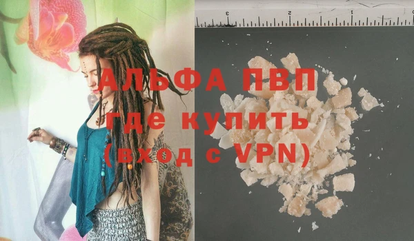 ПСИЛОЦИБИНОВЫЕ ГРИБЫ Абаза
