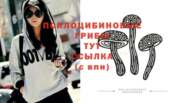 ПСИЛОЦИБИНОВЫЕ ГРИБЫ Абаза
