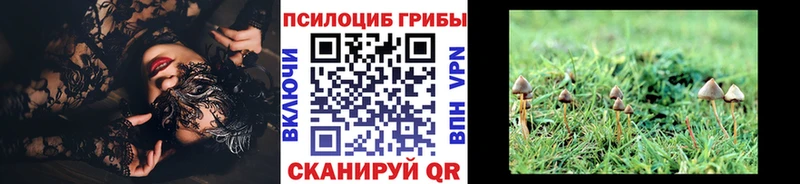 Галлюциногенные грибы Cubensis  купить наркоту  Александров 