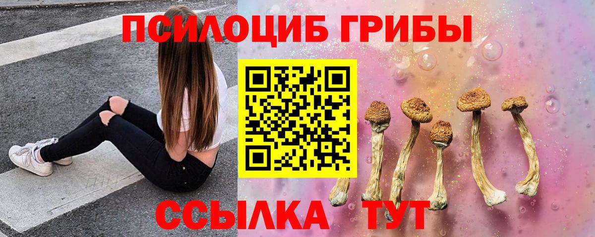 Псилоцибиновые грибы мухоморы  Вход с VPN  Галлюциногенные грибы GOLDEN TEACHER  Александров 